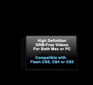 Course Compatibility: Flash CS3, Flash CS4, Flash CS5