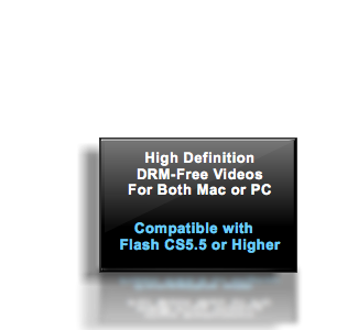 Course Compatibility: Adobe Illustrator CS5