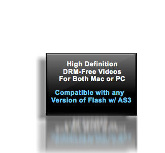 Course Compatibility: Adobe Illustrator CS5