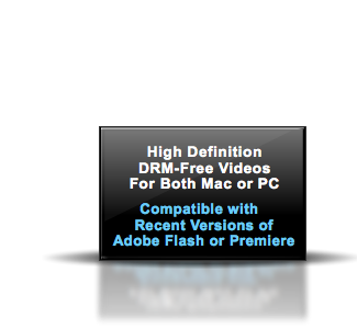 Course Compatibility: Adobe Illustrator CS5