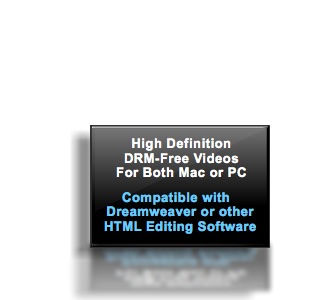 Course Compatibility: Adobe Illustrator CS5