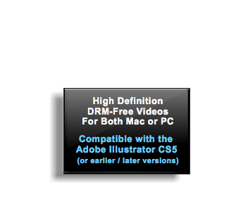 Course Compatibility: Adobe Illustrator CS5